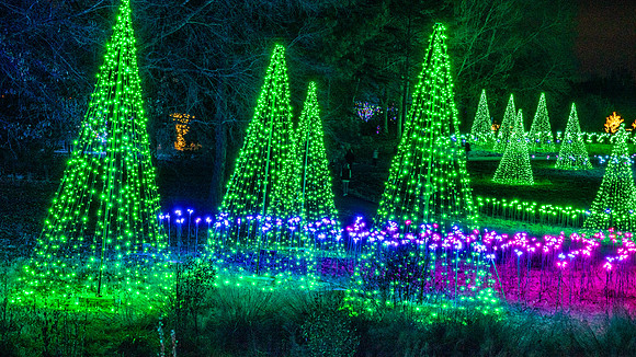 Christmas-2781