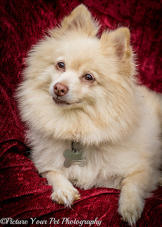 Foster Laverne-6230