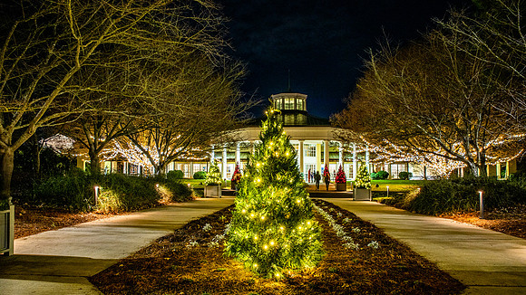 Christmas-2950