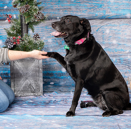 Foster Beatrice-4043