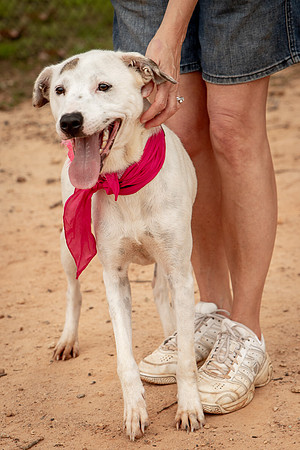 Carley-1175