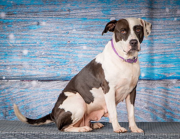 Foster Lucette-3217