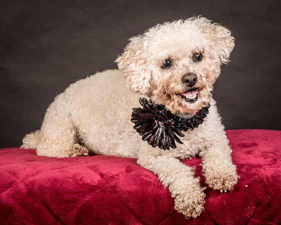 Foster Mae-9075