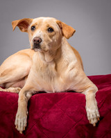 Foster June-3487