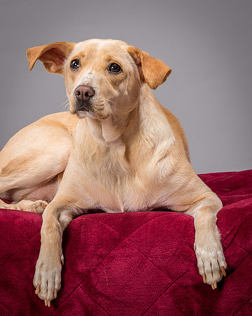 Foster June-3487