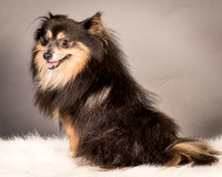 Foster Clint-4211