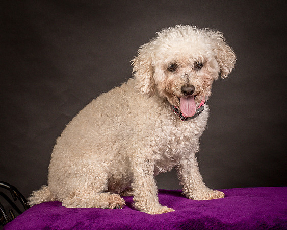 Foster Mae-8985