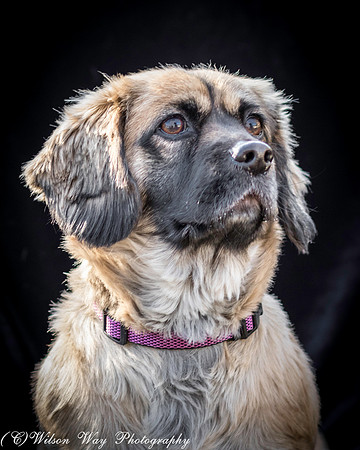 Foster Trudy-31