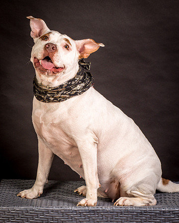 Foster Joanie-0446