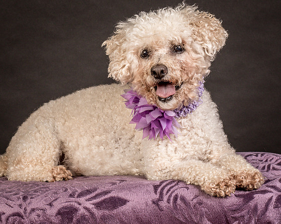 Foster Mae-9209
