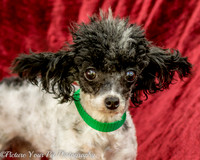 Foster Lillian-2950