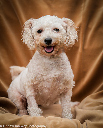 Foster Emmy Lou-3205