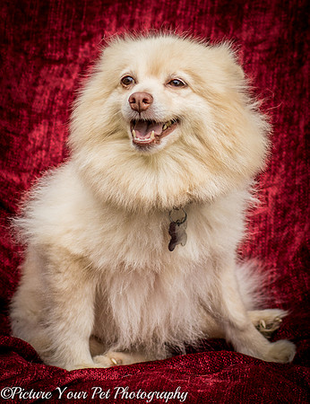 Foster Laverne-6206