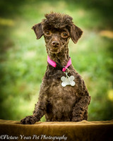 Foster Edna-2885