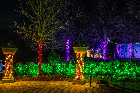 Christmas-2581