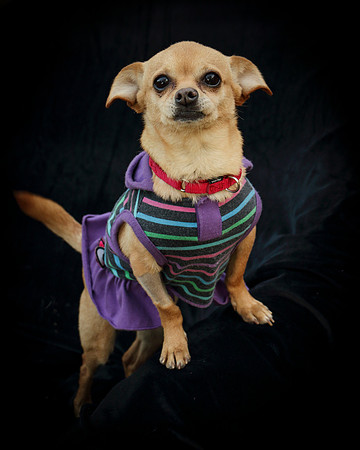 Foster Mirah-7794