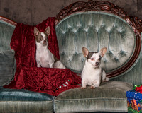 10. Horne - Roo & Stuart Little