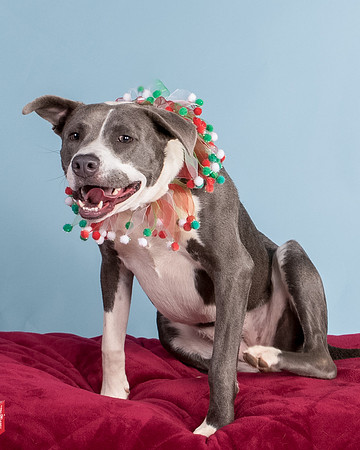 Foster Juliana-8092