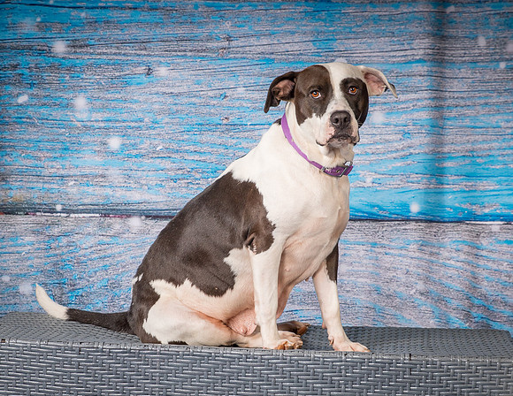 Foster Lucette-3207
