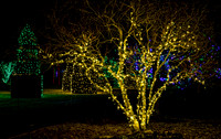 Christmas-2557