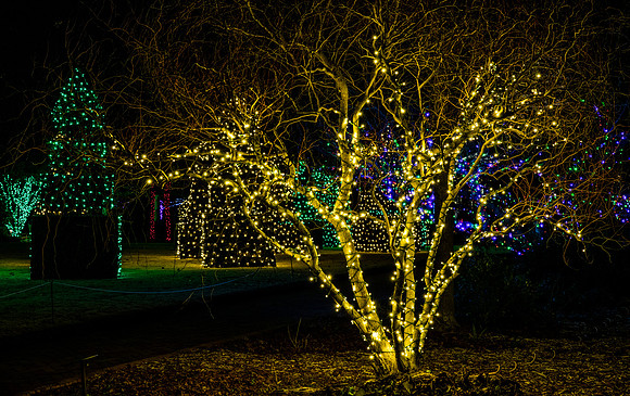 Christmas-2557