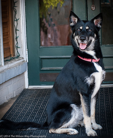 Foster Mala-9474