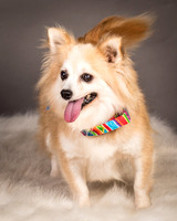 Foster Lilly-3383