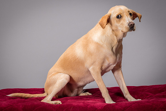 Foster June-3461