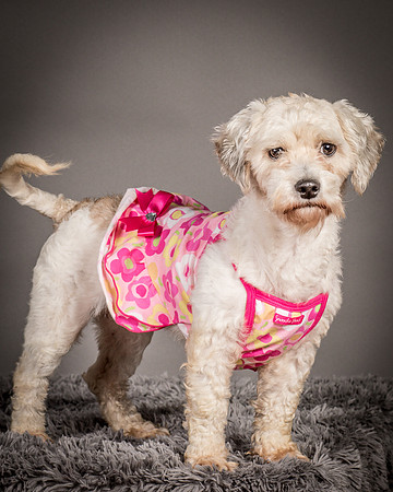 Foster Everly-2279