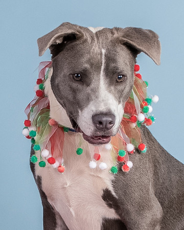 Foster Juliana-8087