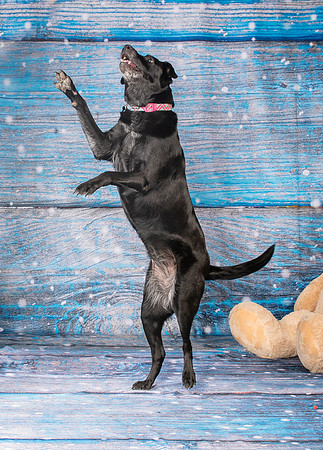 Foster Beatrice-4061
