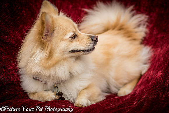Foster Shirley-6106