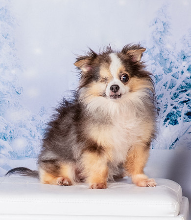 Foster Gabe-4587