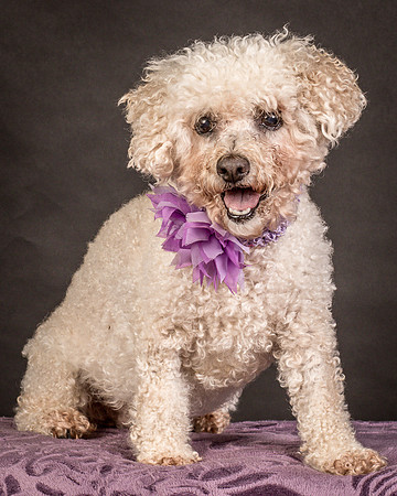 Foster Mae-9169