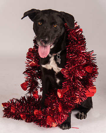 Foster-15-MW-3437
