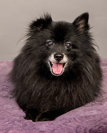 Foster Wayne-8278