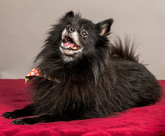 Foster Wayne-7996