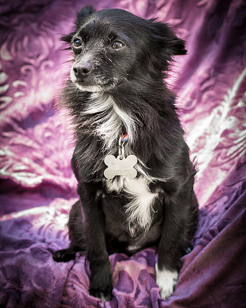Foster Julio-6253
