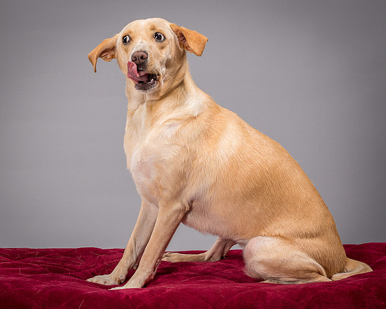 Foster June-3530