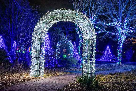 Christmas-2821