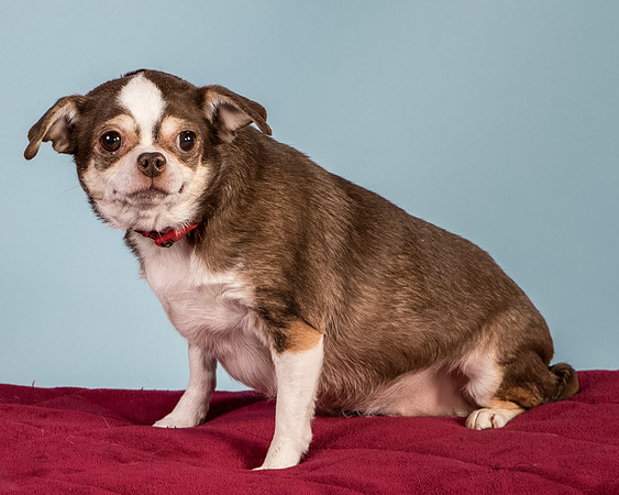 Foster Sophie-5203