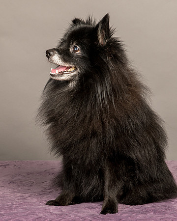 Foster Wayne-8339