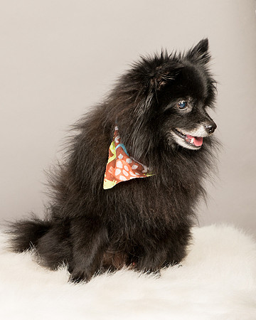 Foster Wayne-8039