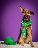 Izzy-2184