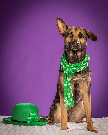 Izzy-2184