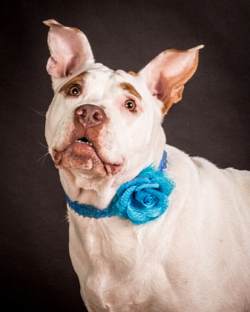 Foster Joanie-0459