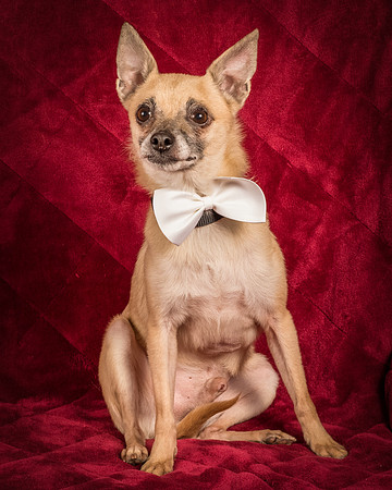 Foster Kiwi-8606