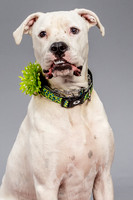 Foster Molly-3714