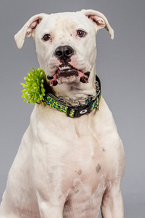 Foster Molly-3714