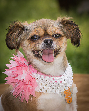 Foster Missy-0543